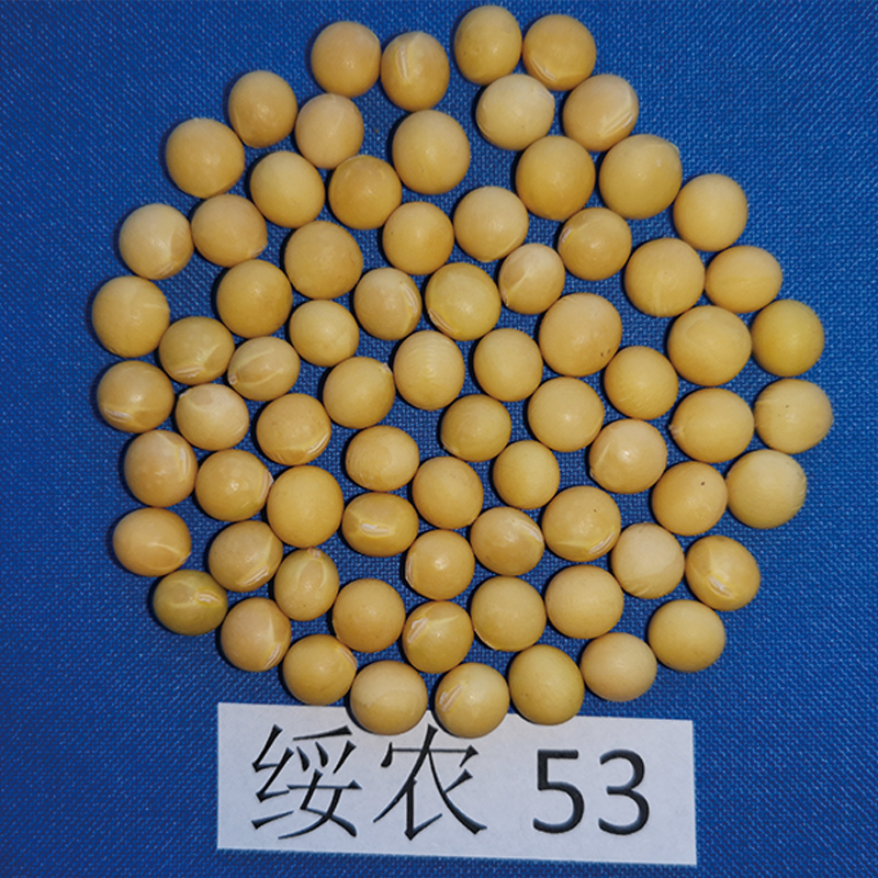 綏農(nóng)53-05.jpg