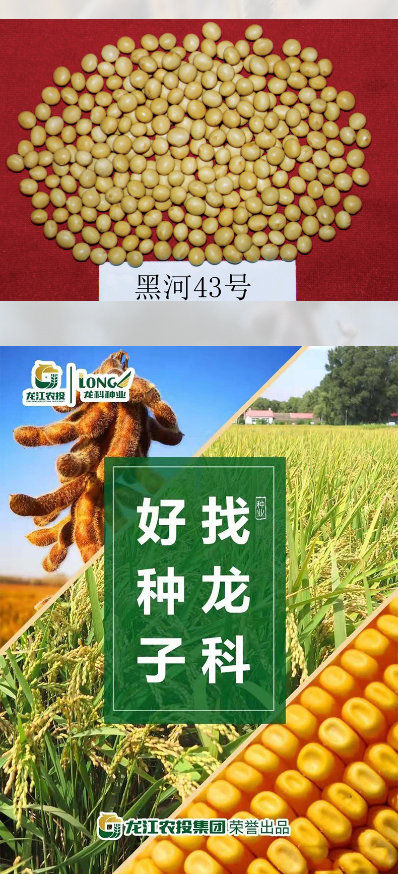 黑河43產(chǎn)品詳情_03.jpg